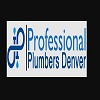 Professional Plumbers Denver