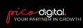 Pico Digital Marketing Agency